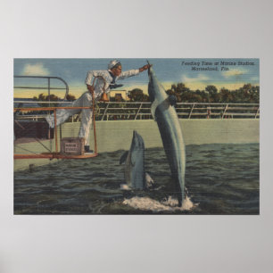Marineland (Florida) - Uitzicht van veevoer Poster