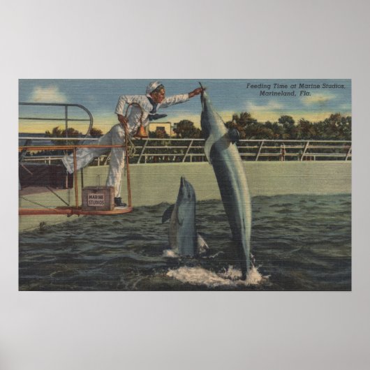 Marineland (Florida) - Uitzicht van veevoer Poster (Voorkant)