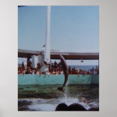  MARINELAND POSTER (Voorkant)