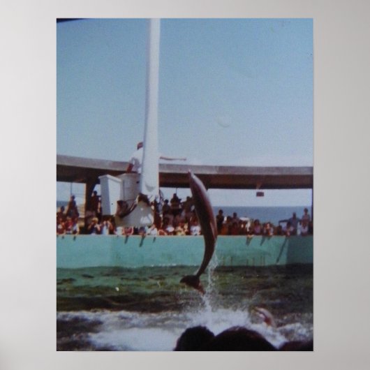  MARINELAND POSTER (Voorkant)