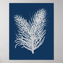 Marinewand Zee Koraal #8 Kustdecoratie Poster