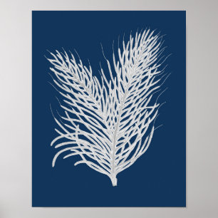 Marinewand Zee Koraal #8 Kustdecoratie Poster