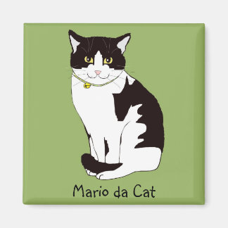 Mario da Cat Magneet