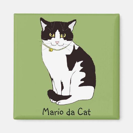 Mario da Cat Magneet (Voorkant)
