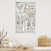 Marionette Building Plans Poster (Keuken)