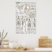 Marionette Building Plans Poster (Keuken)