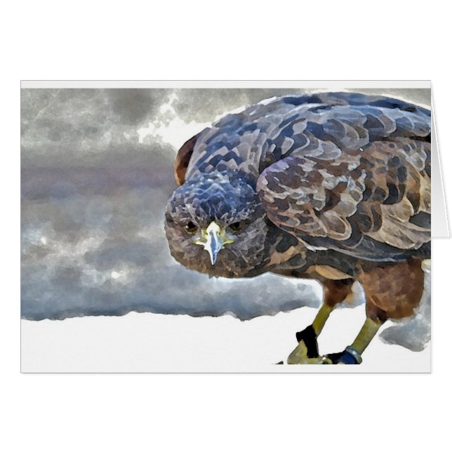 Mariposa (Voorkant Horizontaal)