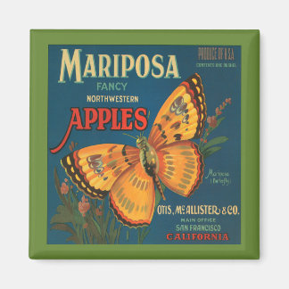 Mariposa appelmagneet Magneet