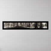 Mariposa Big Tree CA Foto 1906 Poster (Voorkant)