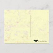 Mariposa ~ Briefkaart/Invitation Butterfly Briefkaart (Achterkant)