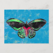 Mariposa ~ Briefkaart / Uitnodiging (Voorkant)