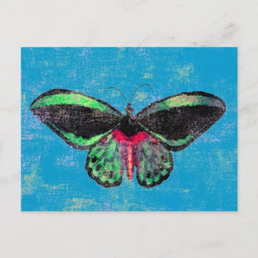 Mariposa ~ Briefkaart / Uitnodiging (Voorkant)