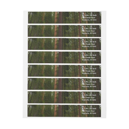 Mariposa Grove in Yosemite National Park (Vel)