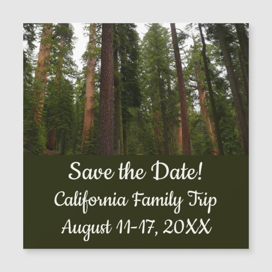 Mariposa Grove in Yosemite National Park (Voorkant)