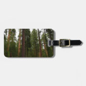 Mariposa Grove in Yosemite National Park Bagagelabel (Voorkant horizontaal)