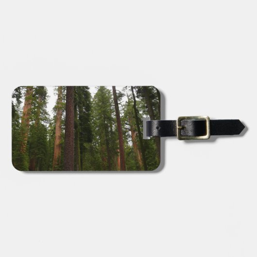 Mariposa Grove in Yosemite National Park Bagagelabel (Voorkant horizontaal)