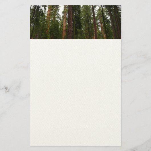 Mariposa Grove in Yosemite National Park Briefpapier (Voorkant)