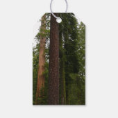 Mariposa Grove in Yosemite National Park Cadeaulabel (Voorkant)
