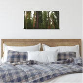 Mariposa Grove in Yosemite National Park Canvas Afdruk (Insitu (Slaapkamer))