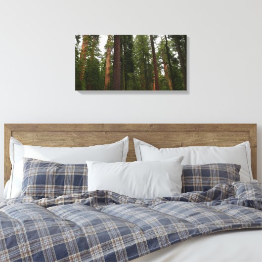 Mariposa Grove in Yosemite National Park Canvas Afdruk (Insitu (Slaapkamer))