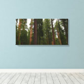 Mariposa Grove in Yosemite National Park Canvas Afdruk (Insitu (Houten vloer))