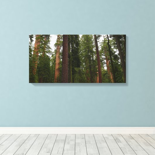 Mariposa Grove in Yosemite National Park Canvas Afdruk (Insitu (Houten vloer))