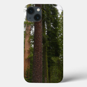Mariposa Grove in Yosemite National Park Case-Mate iPhone Case