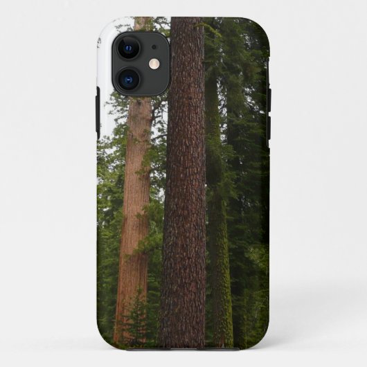 Mariposa Grove in Yosemite National Park Case-Mate iPhone Case (Achterkant)