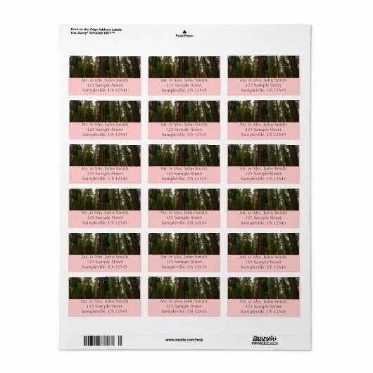 Mariposa Grove in Yosemite National Park Etiket (Full Sheet)