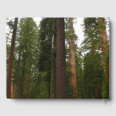 Mariposa Grove in Yosemite National Park Gastenboek (Achterkant)