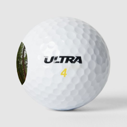 Mariposa Grove in Yosemite National Park Golfballen (Logo)