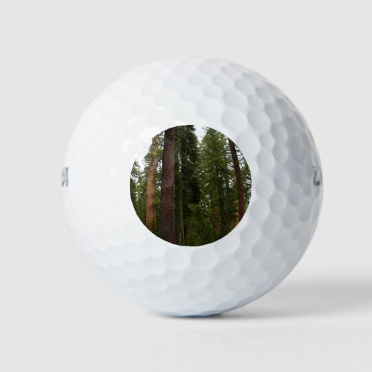 Mariposa Grove in Yosemite National Park Golfballen (Voorkant)