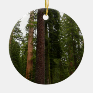 Mariposa Grove in Yosemite National Park Keramisch Ornament