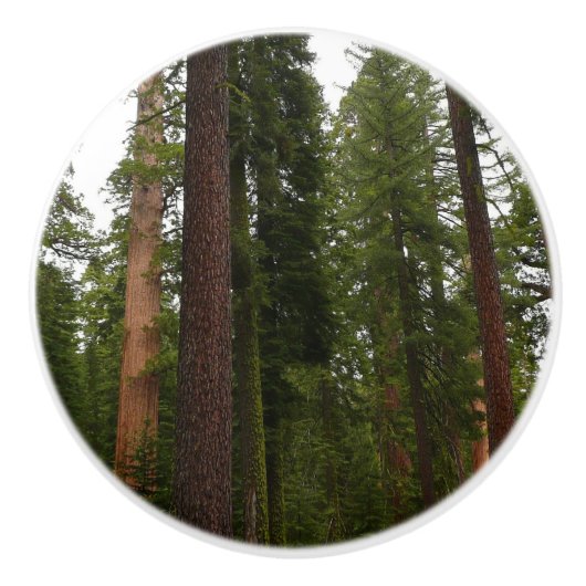 Mariposa Grove in Yosemite National Park Keramische Knop (Voorkant)