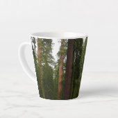 Mariposa Grove in Yosemite National Park Latte Mok (Linkerhoek)