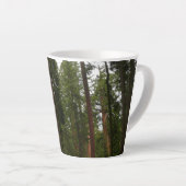 Mariposa Grove in Yosemite National Park Latte Mok (Rechterhoek)