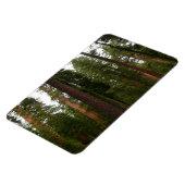 Mariposa Grove in Yosemite National Park Magneet (Linkerzijde)