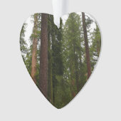 Mariposa Grove in Yosemite National Park Ornament (voorkant)