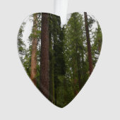 Mariposa Grove in Yosemite National Park Ornament (voorkant)