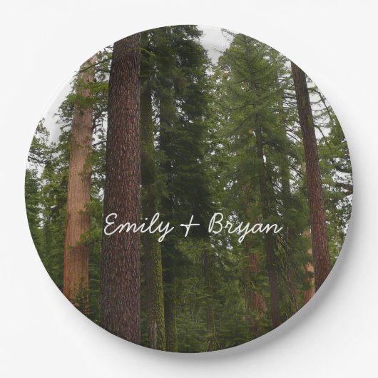 Mariposa Grove in Yosemite National Park Papieren Bordje (Voorkant)