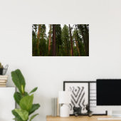 Mariposa Grove in Yosemite National Park Poster (Thuiskantoor)