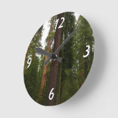 Mariposa Grove in Yosemite National Park Ronde Klok (Hoek)