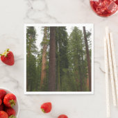 Mariposa Grove in Yosemite National Park Servet (Insitu)