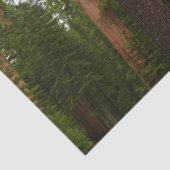 Mariposa Grove in Yosemite National Park Tissuepapier (Detail)