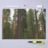 Mariposa Grove in Yosemite National Park Tissuepapier (Craft)