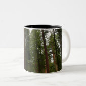 Mariposa Grove in Yosemite National Park Tweekleurige Koffiemok (Voorkant rechts)