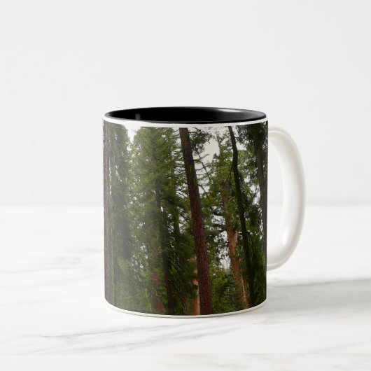 Mariposa Grove in Yosemite National Park Tweekleurige Koffiemok (Voorkant rechts)