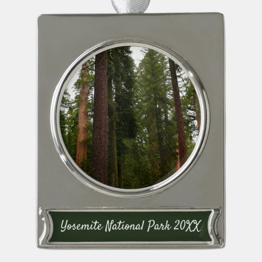 Mariposa Grove in Yosemite National Park Verzilverd Banner Ornament (Voorkant)