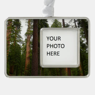 Mariposa Grove in Yosemite National Park Verzilverd Omlijst Ornament