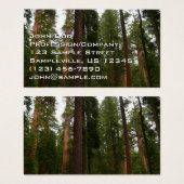Mariposa Grove in Yosemite National Park Visitekaartje (Voorkant /achterkant)